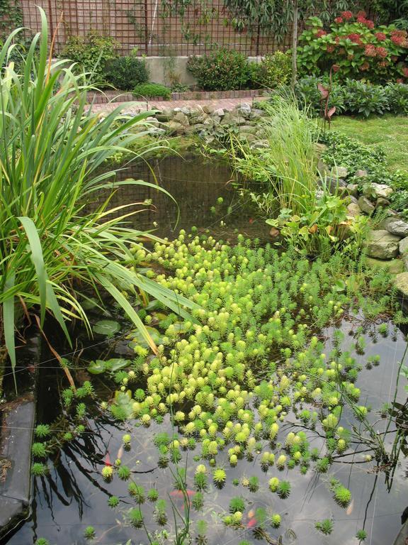 永远阳光住宿加早餐旅馆 奥斯 外观 照片